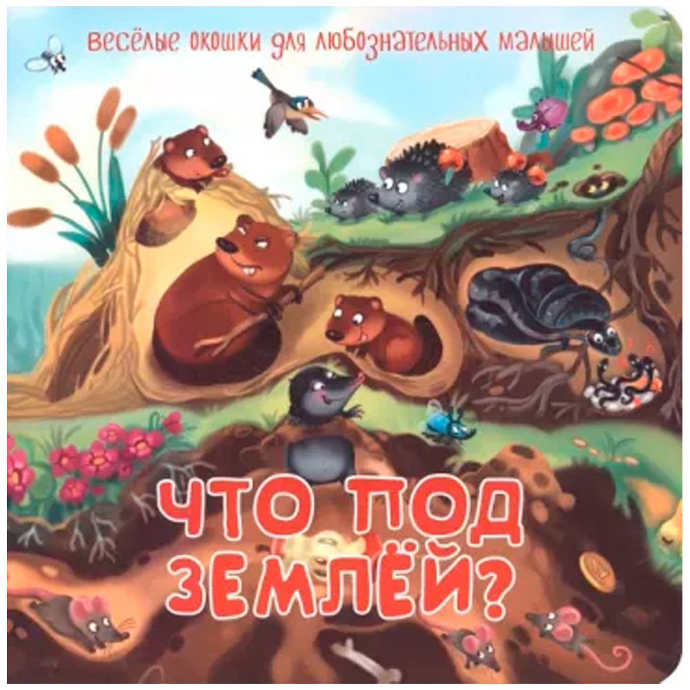 Книга 978-5-907-38874-1 Книжка с двойными окошками ЧТО ПОД ЗЕМЛЕЙ?