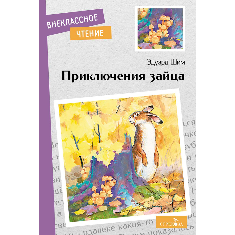 Книга 12005 Внеклассное чтение. Приключения зайца.