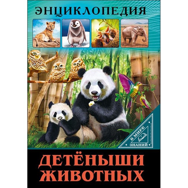 Книга Энциклопедия В Мире знаний 978-5-378-27551-9 Детеныши животных